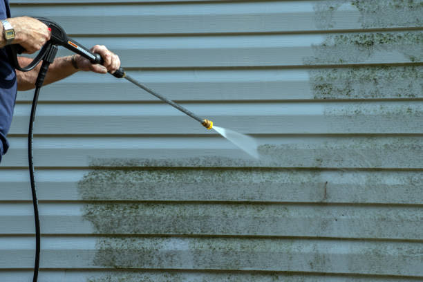 Best Sidewalk and Walkway Cleaning  in Richlands, NC