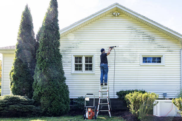 Best Graffiti Removal  in Richlands, NC